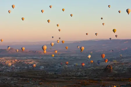 家有恶猫 第一季