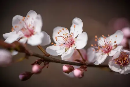 奥睿科M2固态硬盘拓展坞